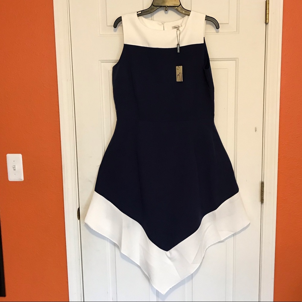 Amazing dress, NWT, 44” from middle of neck,